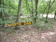 zwarte das